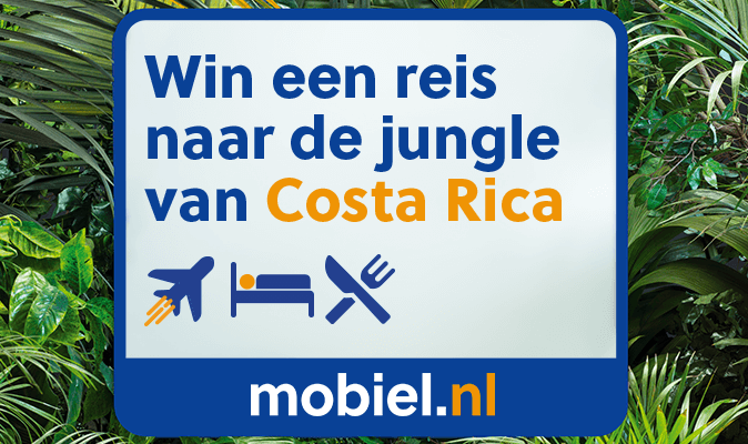 Jungle %281%29
